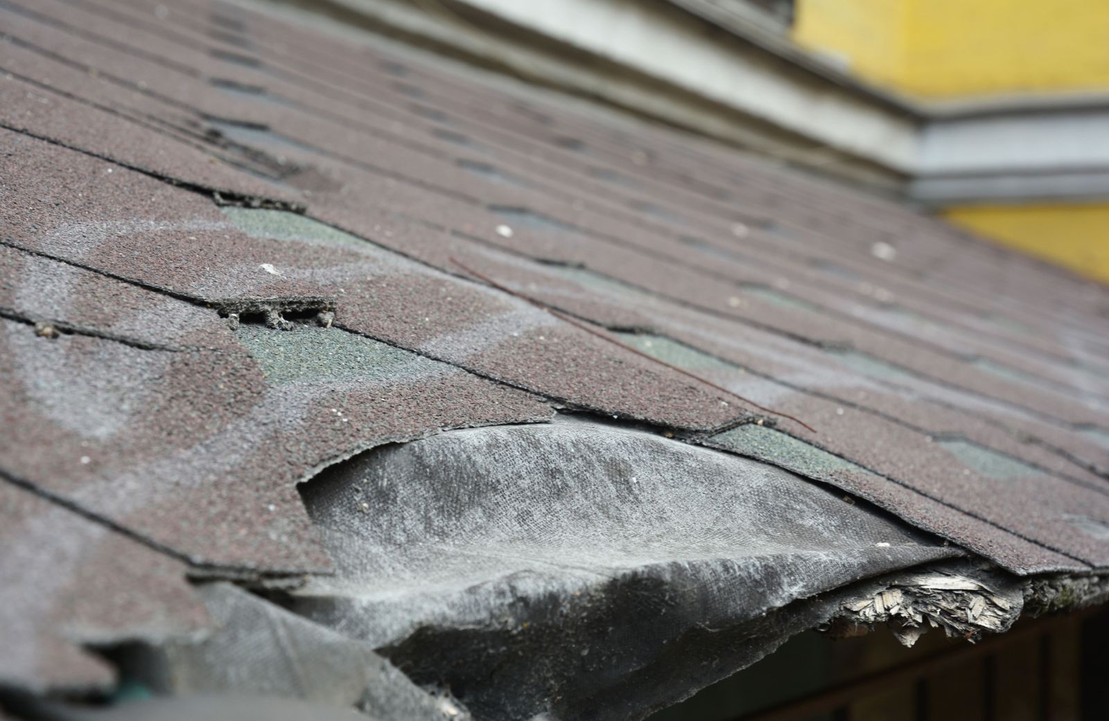ABM Roofing Images