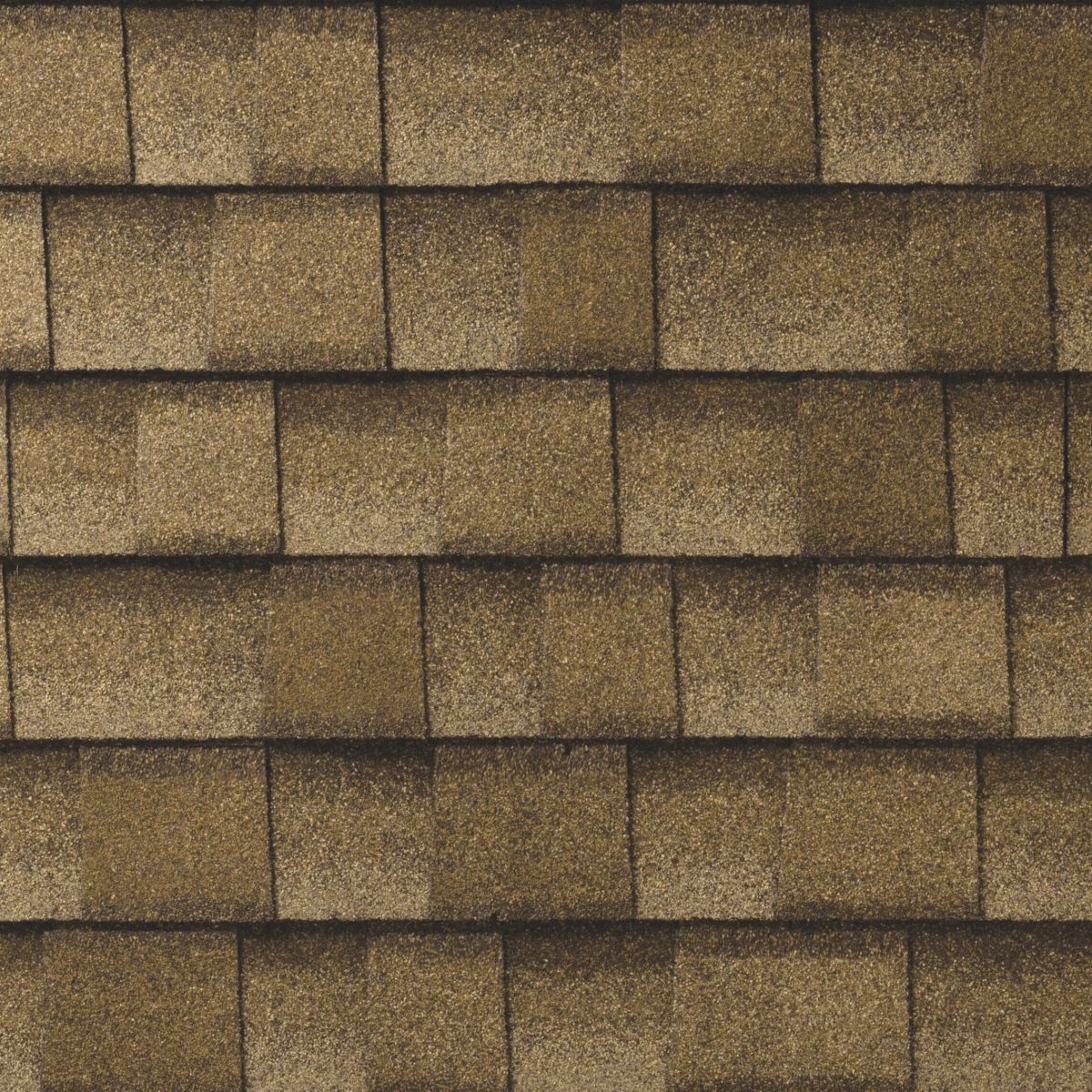 ABM Roofing Images
