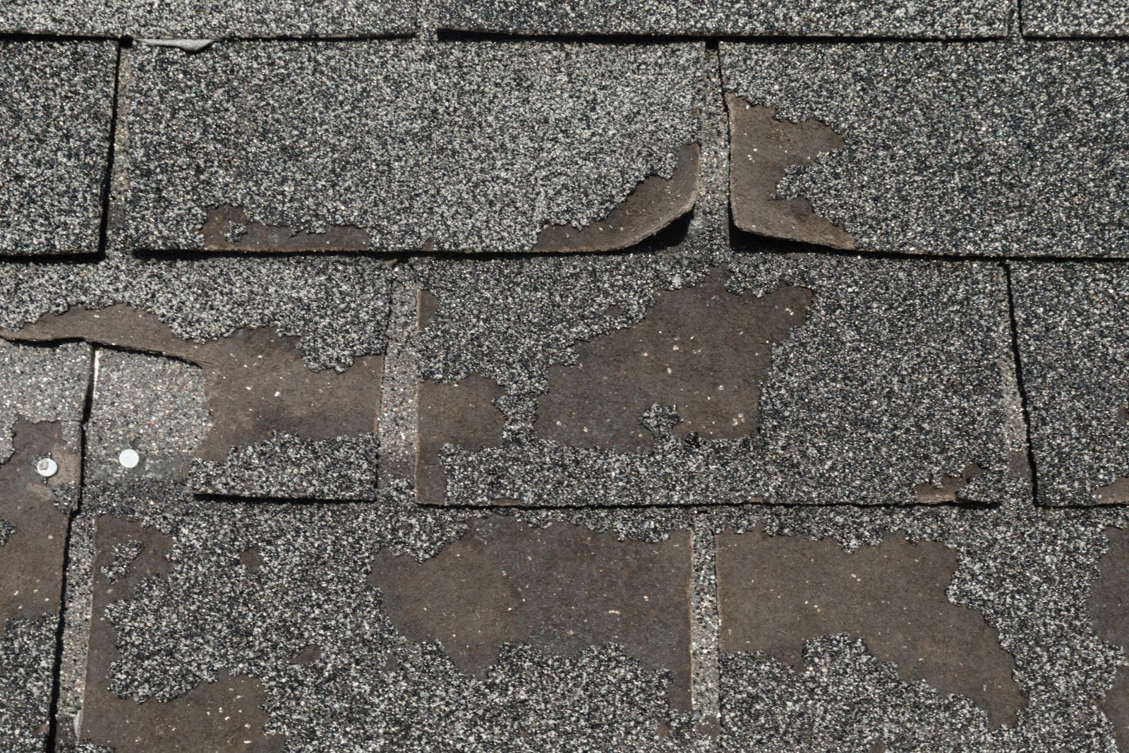 ABM Roofing Images