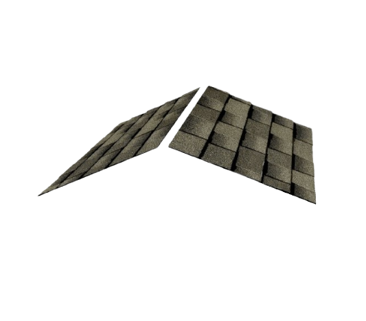 lifetime shingles framed